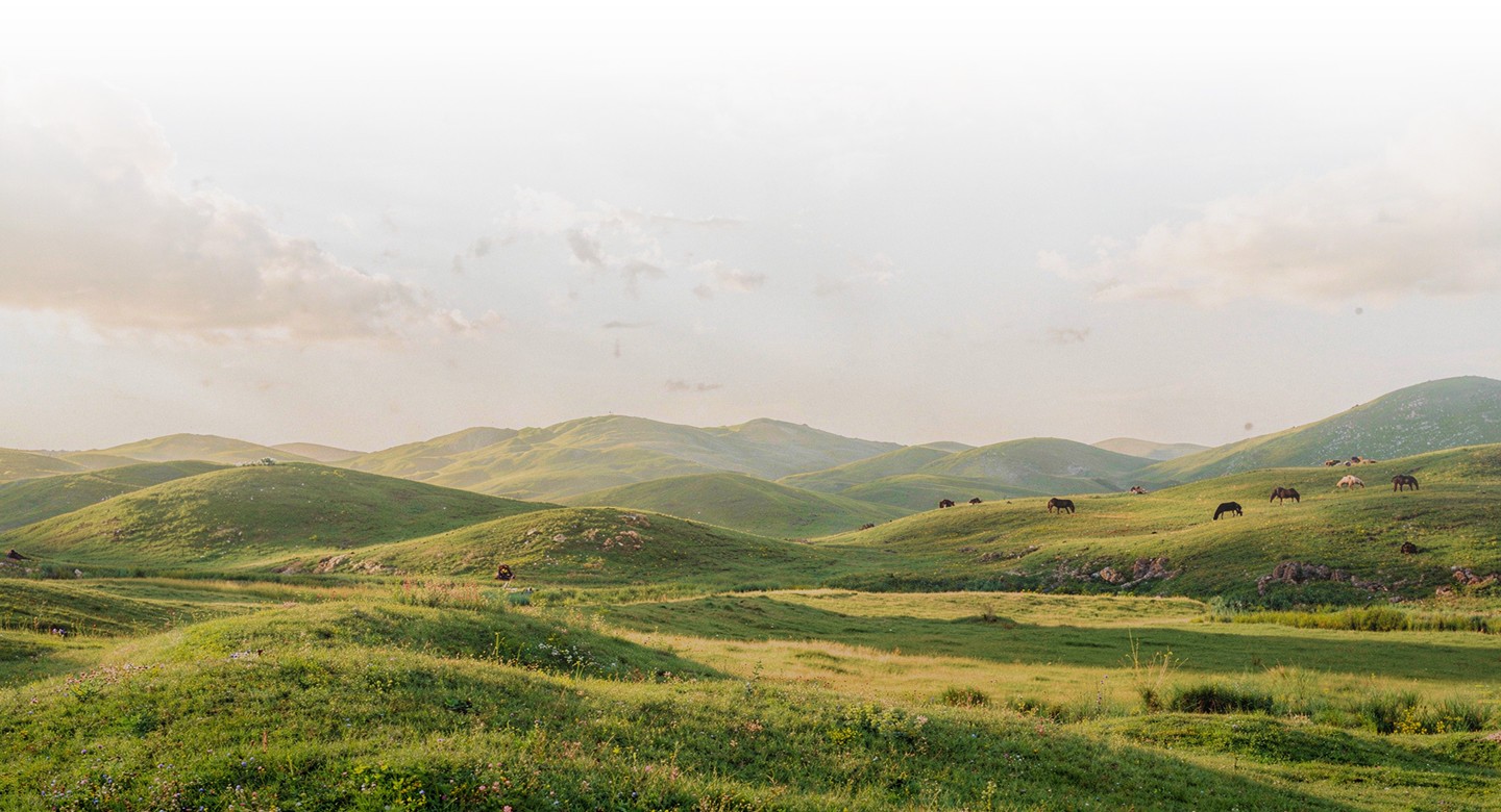 hill landscape