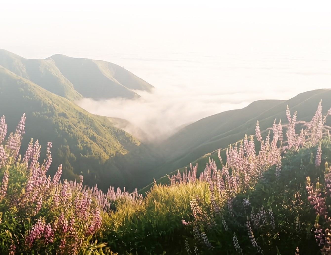 a mountain